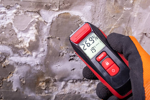 Best Toxic Mold Removal  in Brooksville, MS