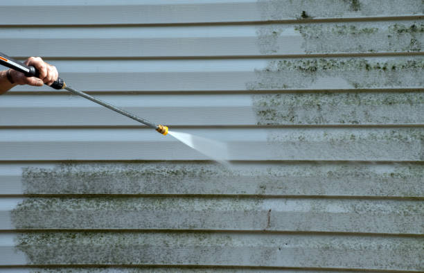Office Mold Removal Services in Brooksville, MS